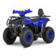 Квадроцикл FORTE AFP-125 PRO синий