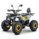 Електроквадроцикл FORTE FFD1500