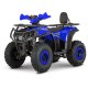 Електроквадроцикл FORTE FFP1500