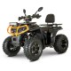 Квадроцикл FORTE AFC-200 PRO