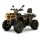 Квадроцикл FORTE AFC-250 PRO