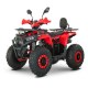 Квадроцикл FORTE AFN-150 PRO
