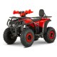 Квадроцикл FORTE AFP-125 PRO