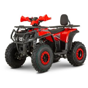 Квадроцикл FORTE AFP-125