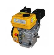 Двигатель бензиновый Forte F210GS-20
