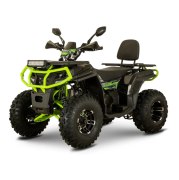 Квадроцикл FORTE AFC-250 PRO
